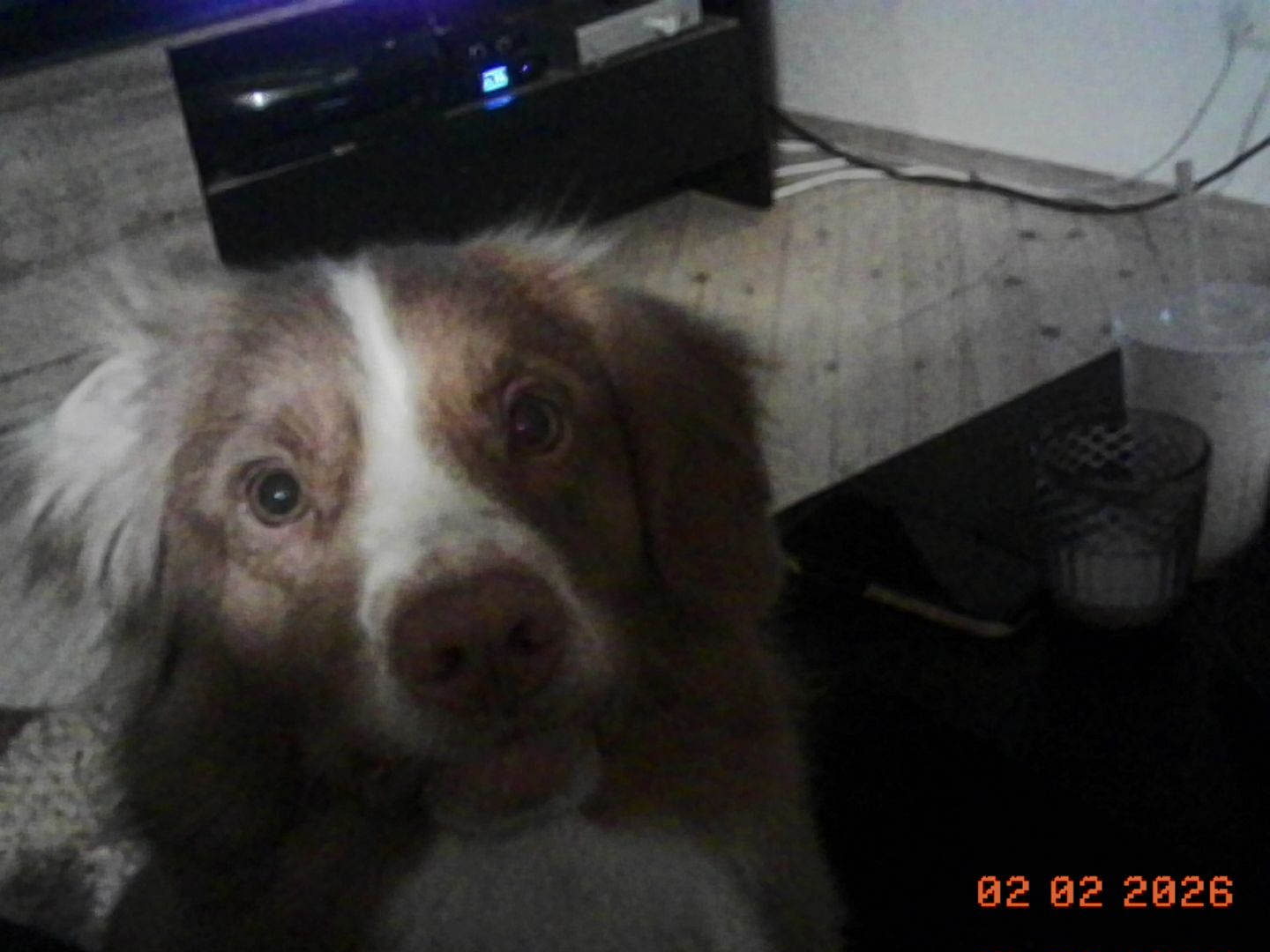 Site hosted by Neocities